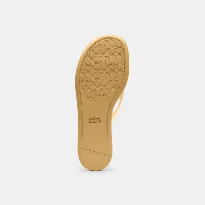 COACH®,Jelly Flip Flop In Signature,,Outsole View