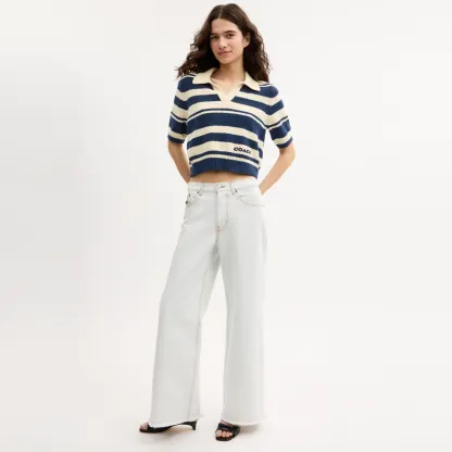 COACH®,Striped Knit Polo,Navy,Scale View