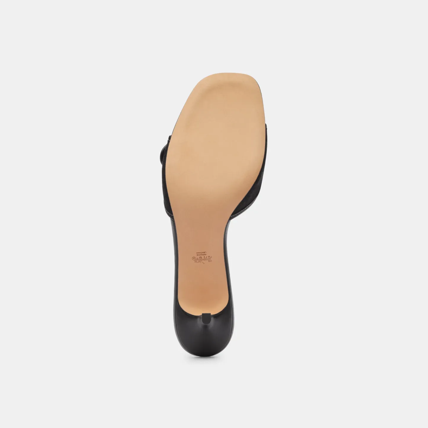 COACH®,Margot Sandal In Signature Jacquard,Recycled Cotton,Recycled Polyester,Leather,Slides,Fabric,Piping,Logo,Sustainabl...,Black,Outsole View