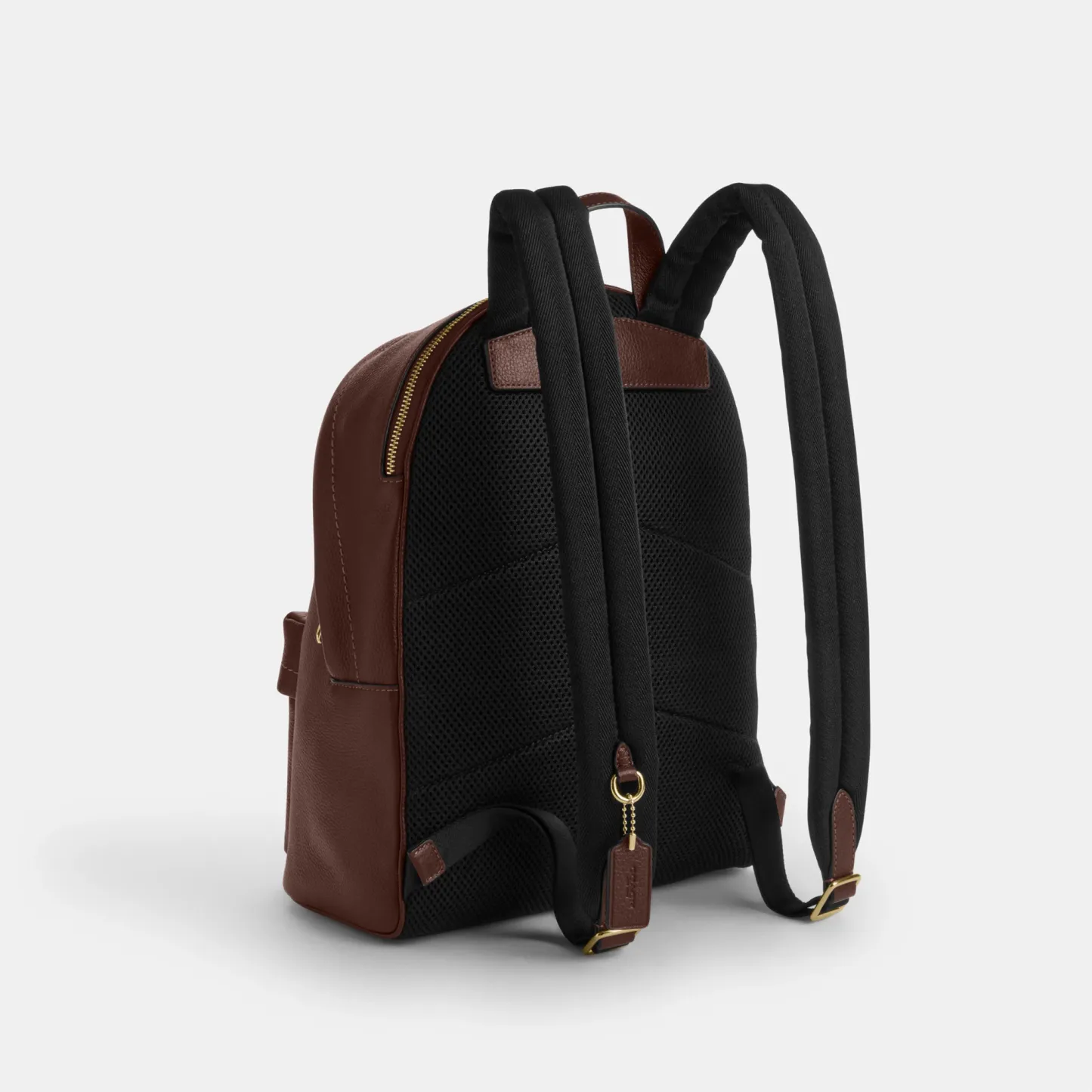 COACH®,Taylor Small Backpack,Recycled Polyester,Leather,Lining Recycled Polyester,Polyester,Backpack,Metal,Logo,Lined,Padd...,Brown,Angle View