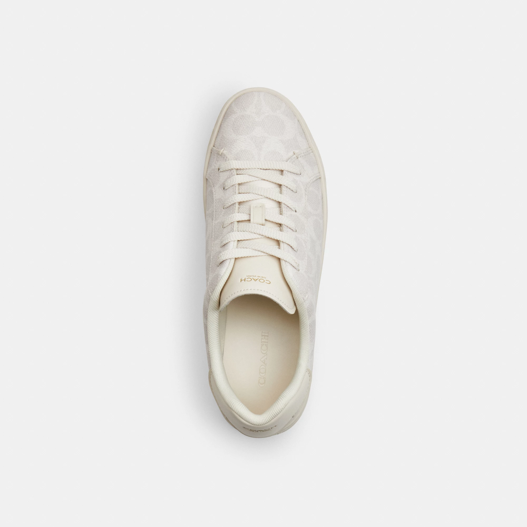 COACH®,High Line Sneaker In Signature Canvas,EVA,Canvas,Leather,Casual,Fabric,Logo,Pull Tab,Casual,Cream,Inside View,Top View