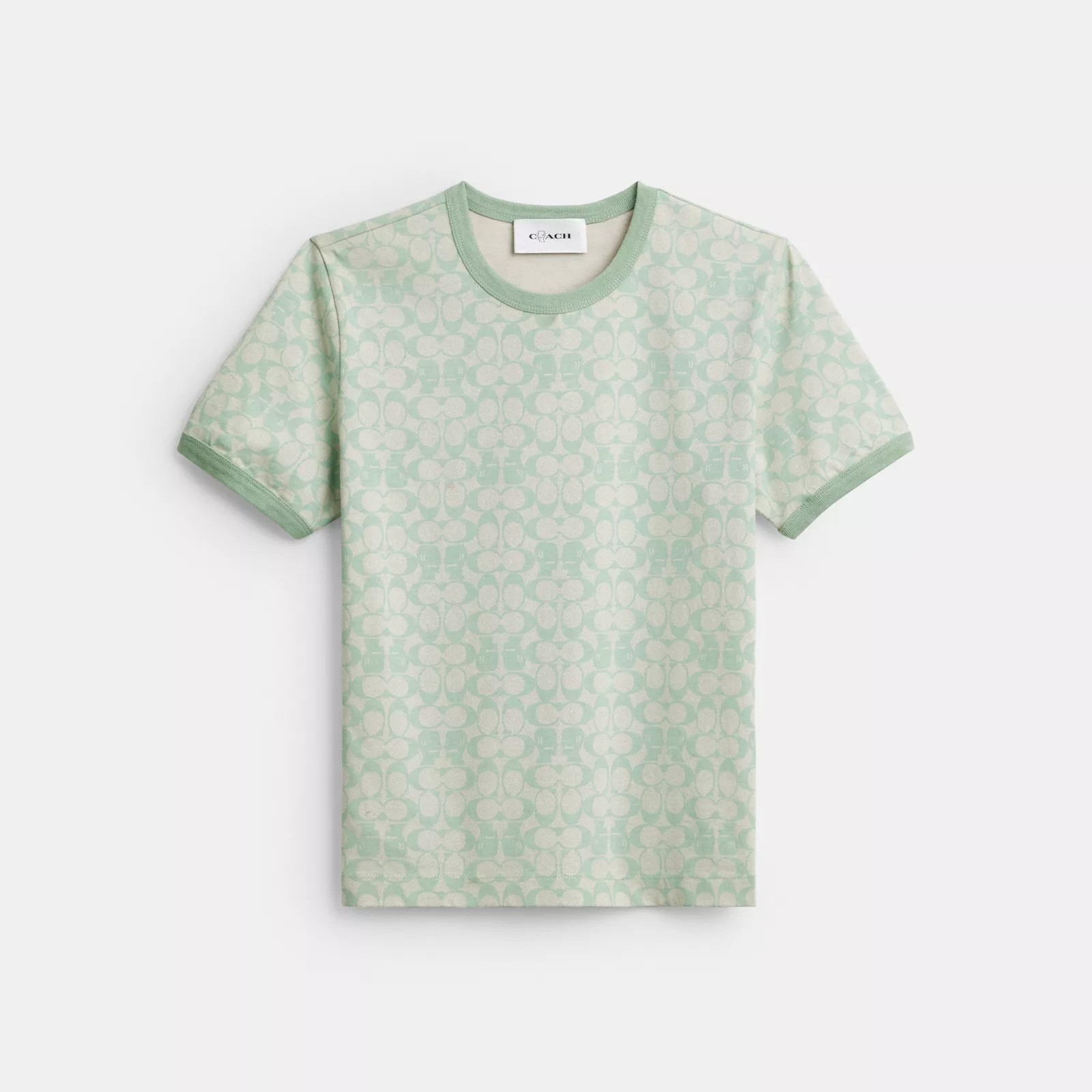 Coach | Brain Dead Signature Ringer T-Shirt - Mint