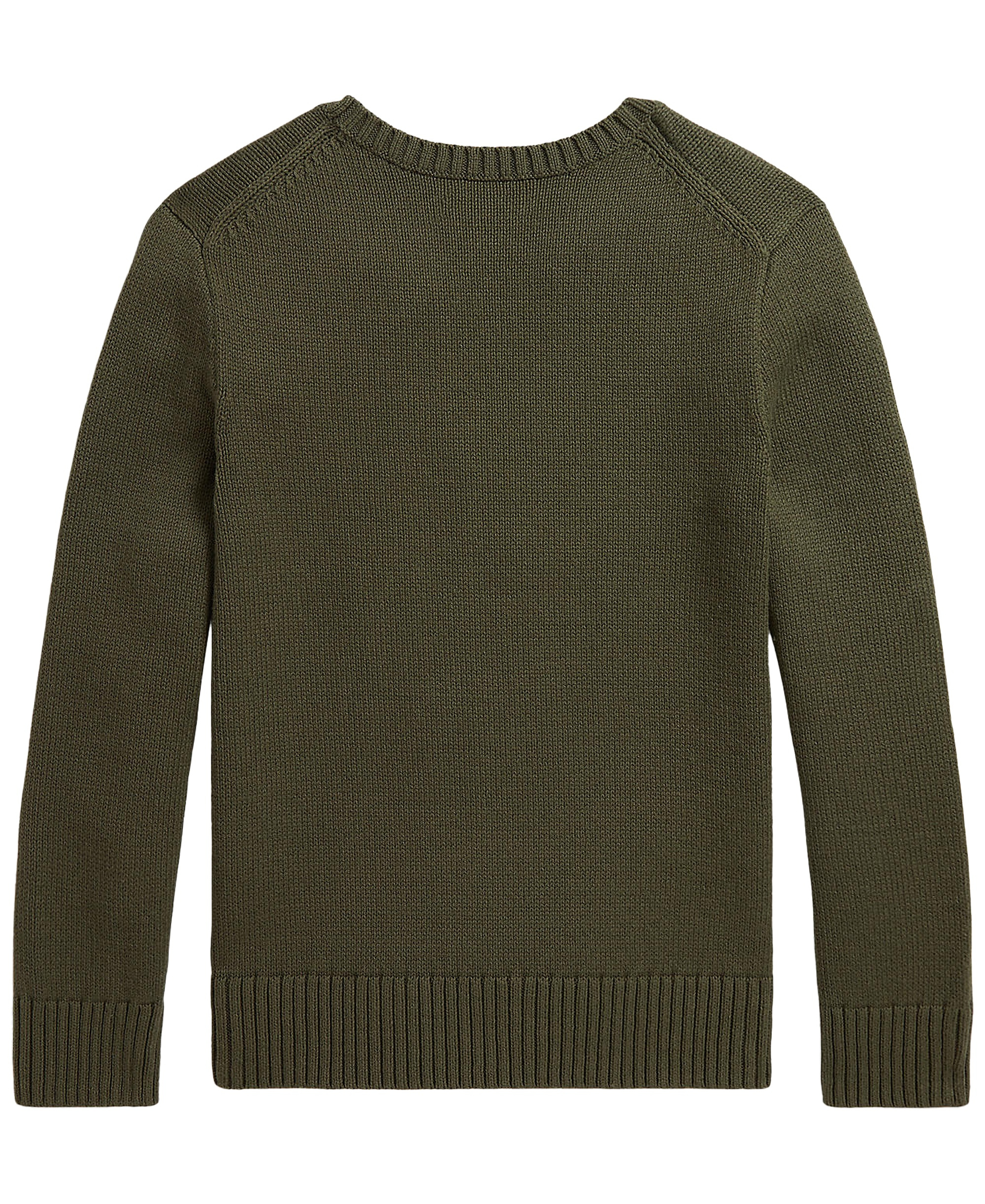 Polo Ralph Lauren Boys' 8-20 Polo Bear Embroidered Sweater - Cruise Olive