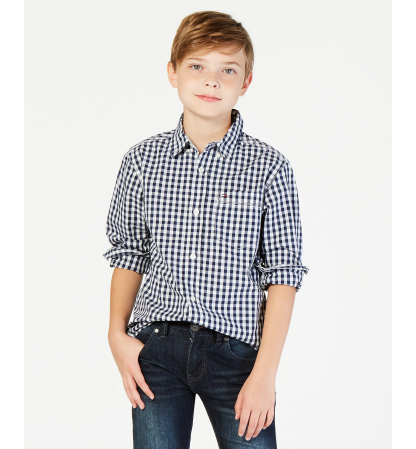 Tommy Hilfiger Boys' 8-20 Baxter Gingham Button-Down Shirt - Flag Blue