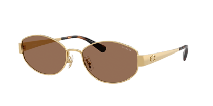 Coach CDP44 - Frame: Gold / Lens: Brown