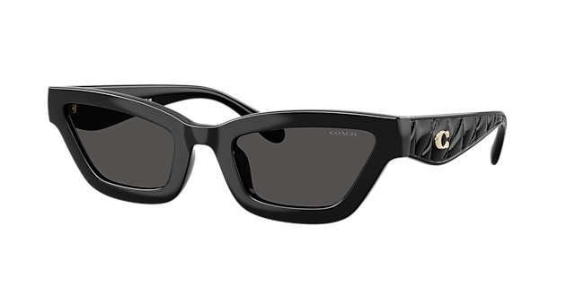 Coach CAD28 - Frame: Black / Lens: Grey