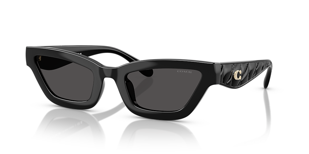 Coach CAD28 - Frame: Black / Lens: Grey
