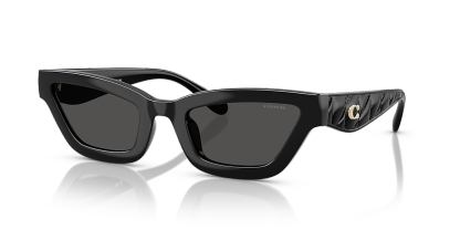 Coach CAD28 - Frame: Black / Lens: Grey