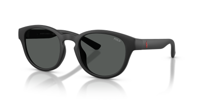 Polo Ralph Lauren PH4233U - Frame: Black / Lens: Grey