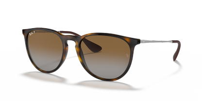 Ray-Ban Erika Classic - Frame: Tortoise / Lens: Brown