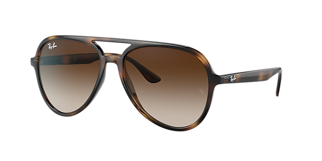 Ray-Ban RB4376 - Frame: Tortoise / Lens: Brown
