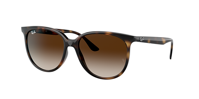 Ray-Ban RB4378 - Frame: Tortoise / Lens: Brown