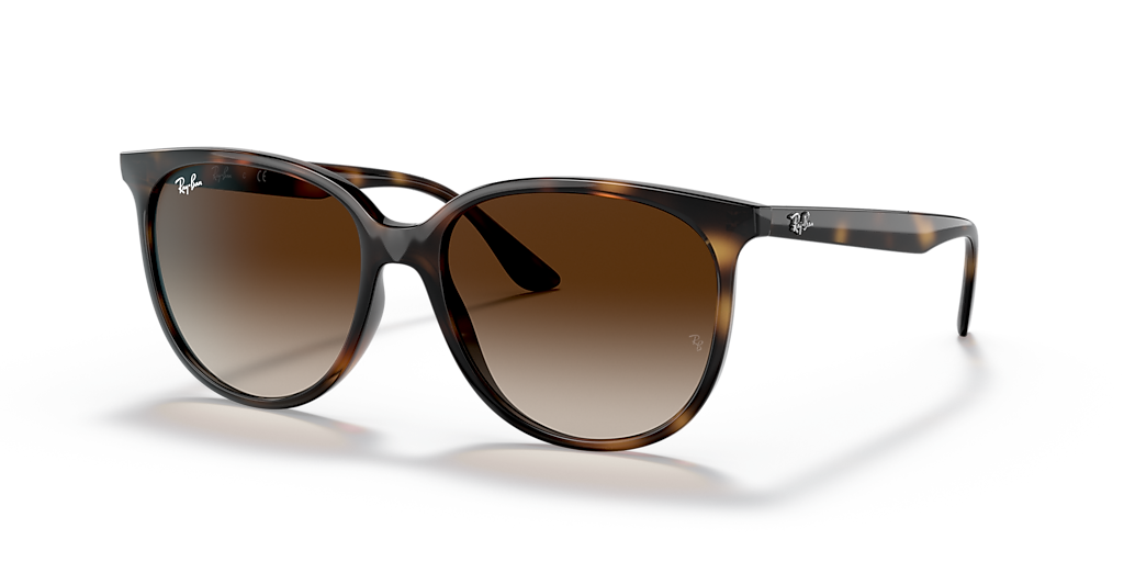 Ray-Ban RB4378 - Frame: Tortoise / Lens: Brown