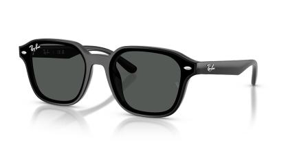 Ray-Ban RB4458D - Frame: Black / Lens: Grey