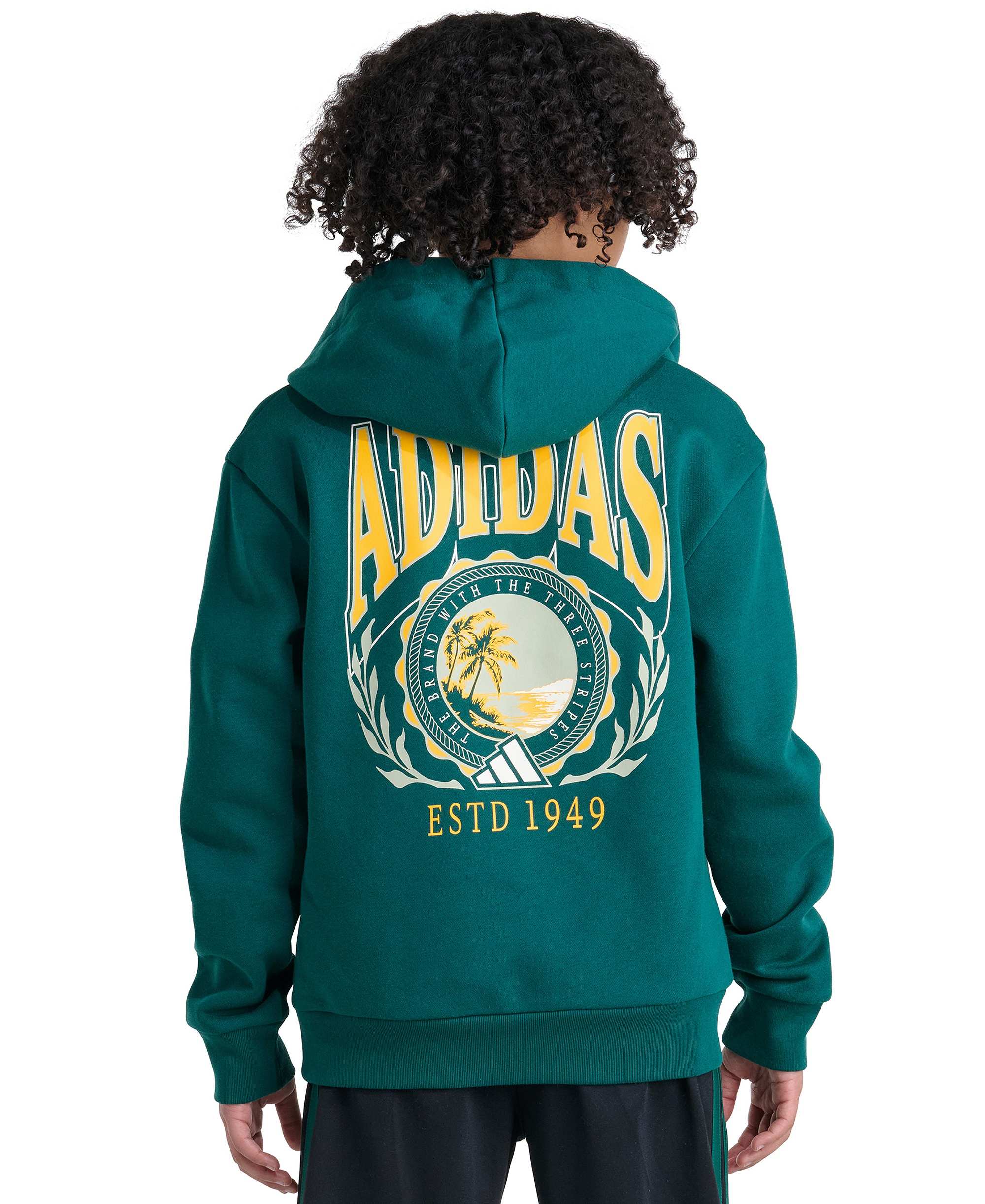 adidas Boys' 8-20 Long-Sleeve Graphic Hoodie - Collegiate Green