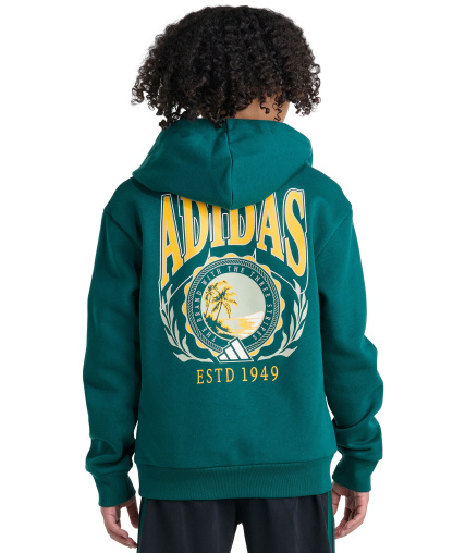 adidas Boys' 8-20 Long-Sleeve Graphic Hoodie - Collegiate Green
