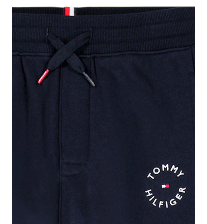 Tommy Hilfiger Boys' 8-20 Logo Knit Jogger Pants - Navy Blazer