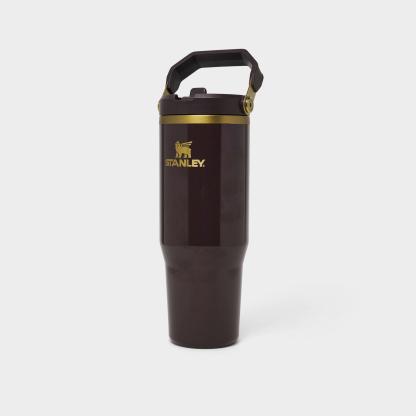 Stanley IceFlow Flip Straw Tumbler (30 oz.) - Fig Gloss