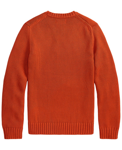 Polo Ralph Lauren Boys' 8-20 Cotton Crewneck Sweater - Varsity Orange