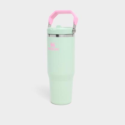 Stanley IceFlow Flip Straw Tumbler (30 oz.) - Strawberry Matcha