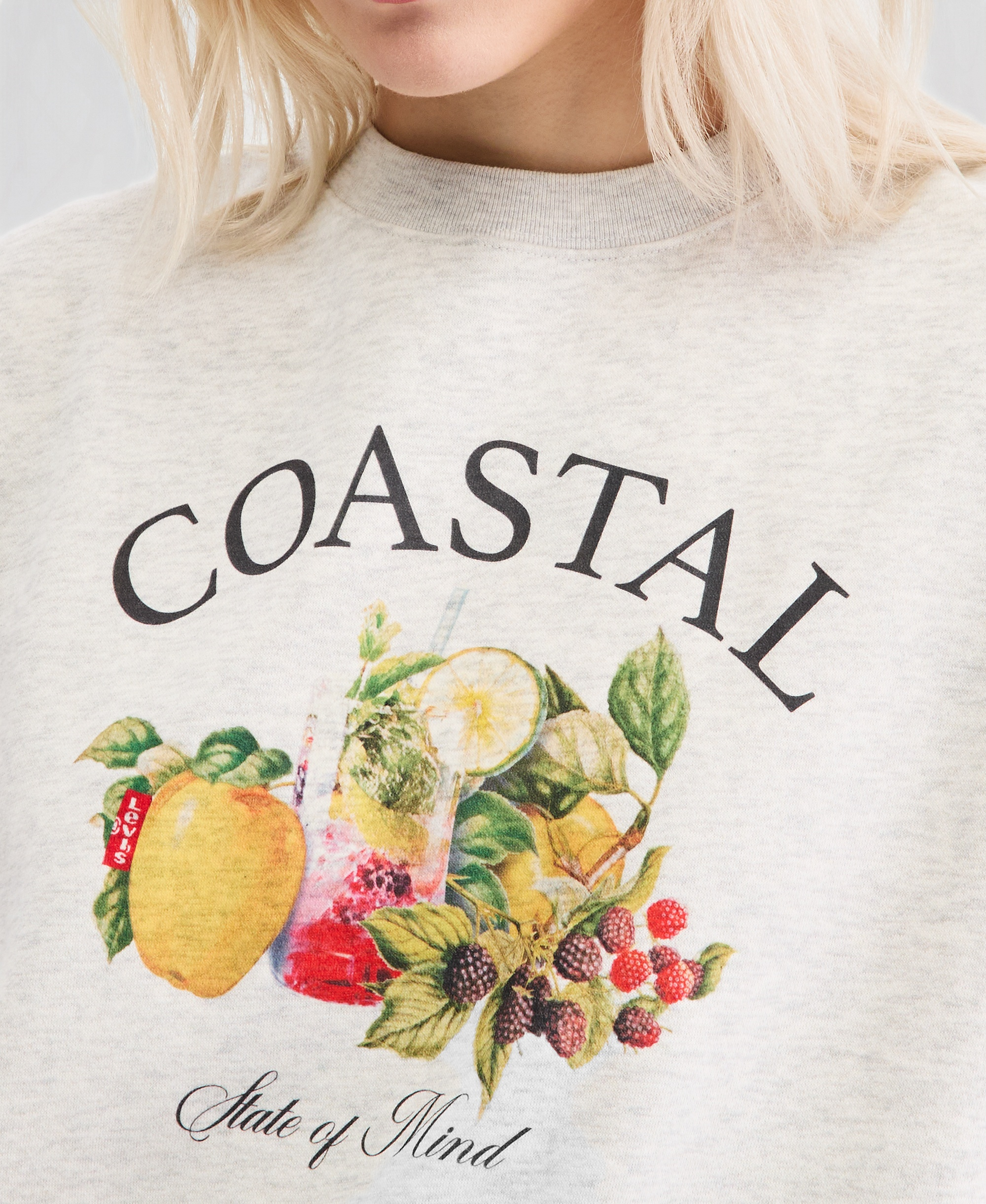 Levi's Women's Everyday Crewneck Sweatshirt - Crew Fresh Coast Oatmeal Heather Gray