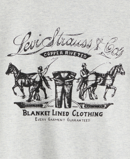 Levi's Men's Signature Graphic T-Shirt - Gray