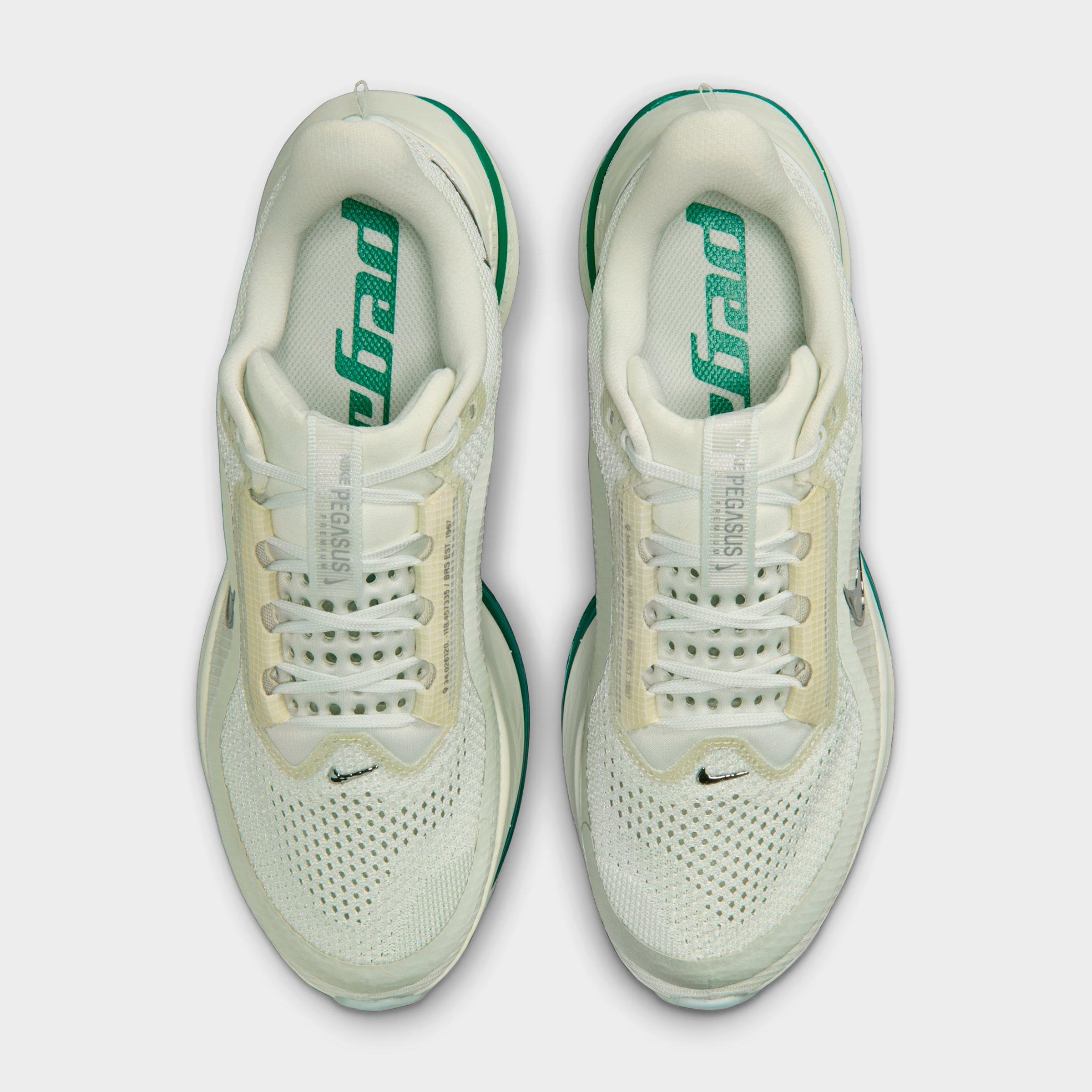 Women's Nithtke Pegasus Premium Running Shoes - Part 1 - Sea Glass/Malachite/Light Silver/Metallic Silver - Top view