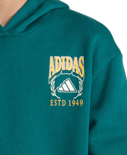 adidas Boys' 8-20 Long-Sleeve Graphic Hoodie - Collegiate Green