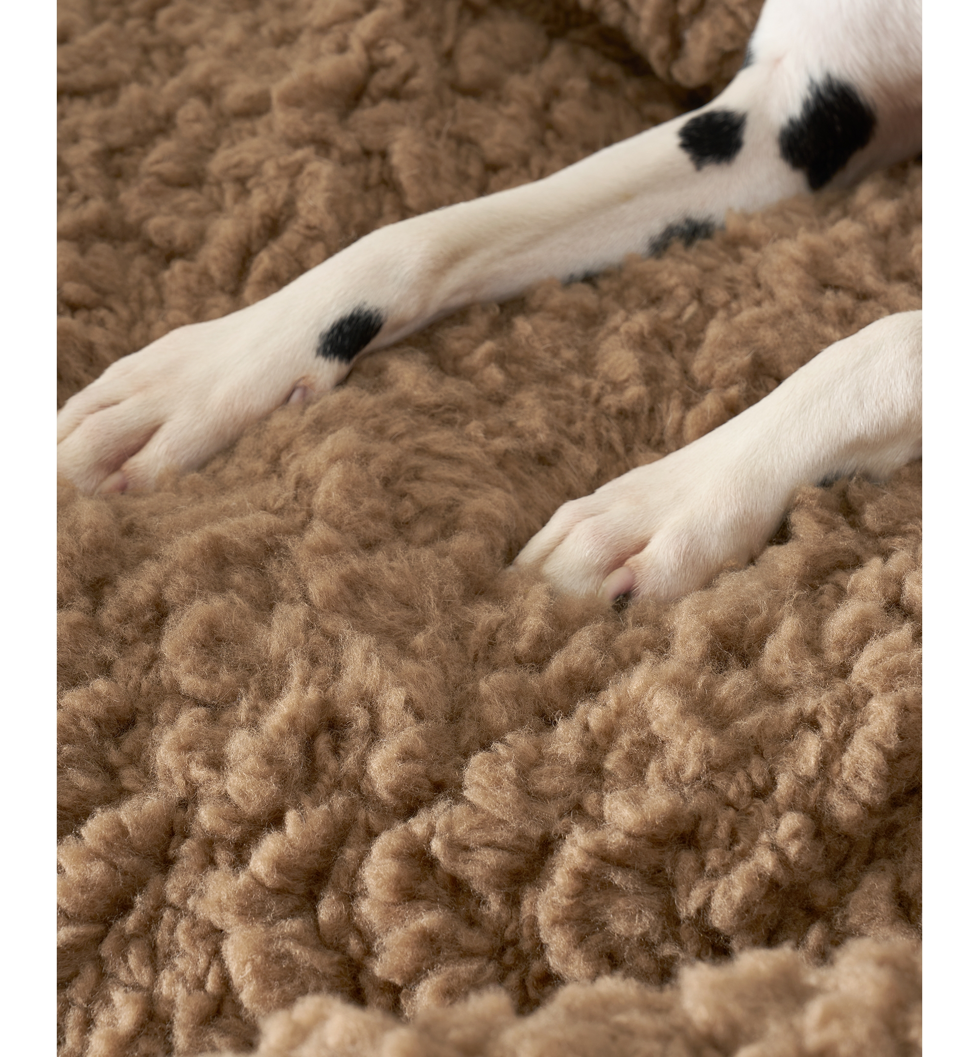 UGG® Shira Pet Sofa - Chestnut