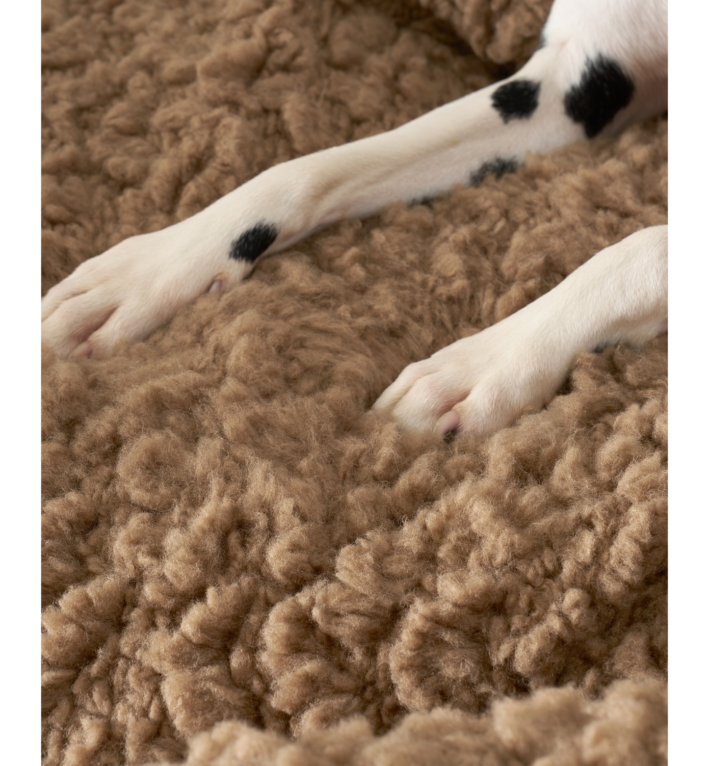 UGG® Shira Pet Sofa - Chestnut