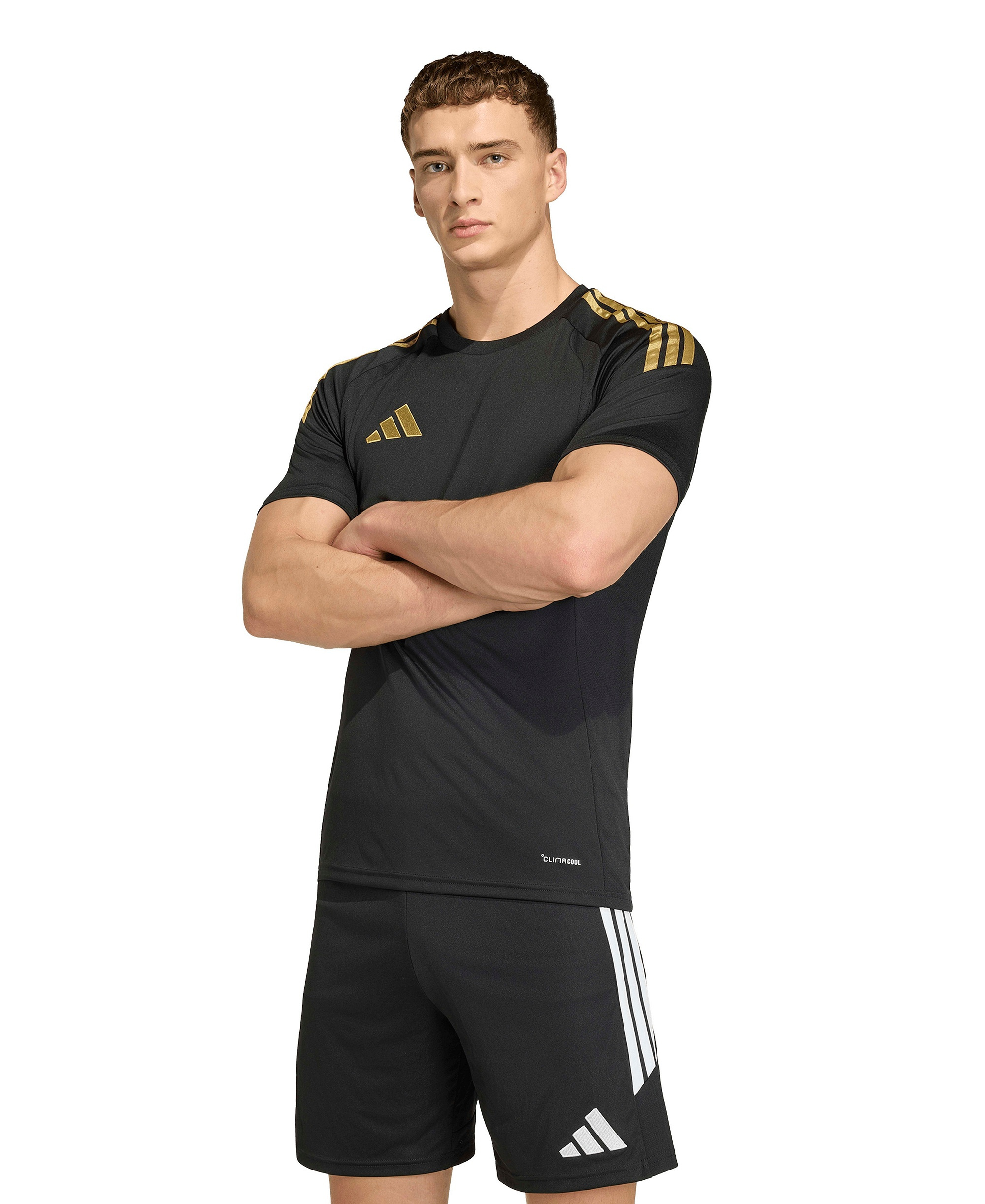 adidas Men's Tiro 26 League Jersey Crewneck T-Shirt - Black / Gold