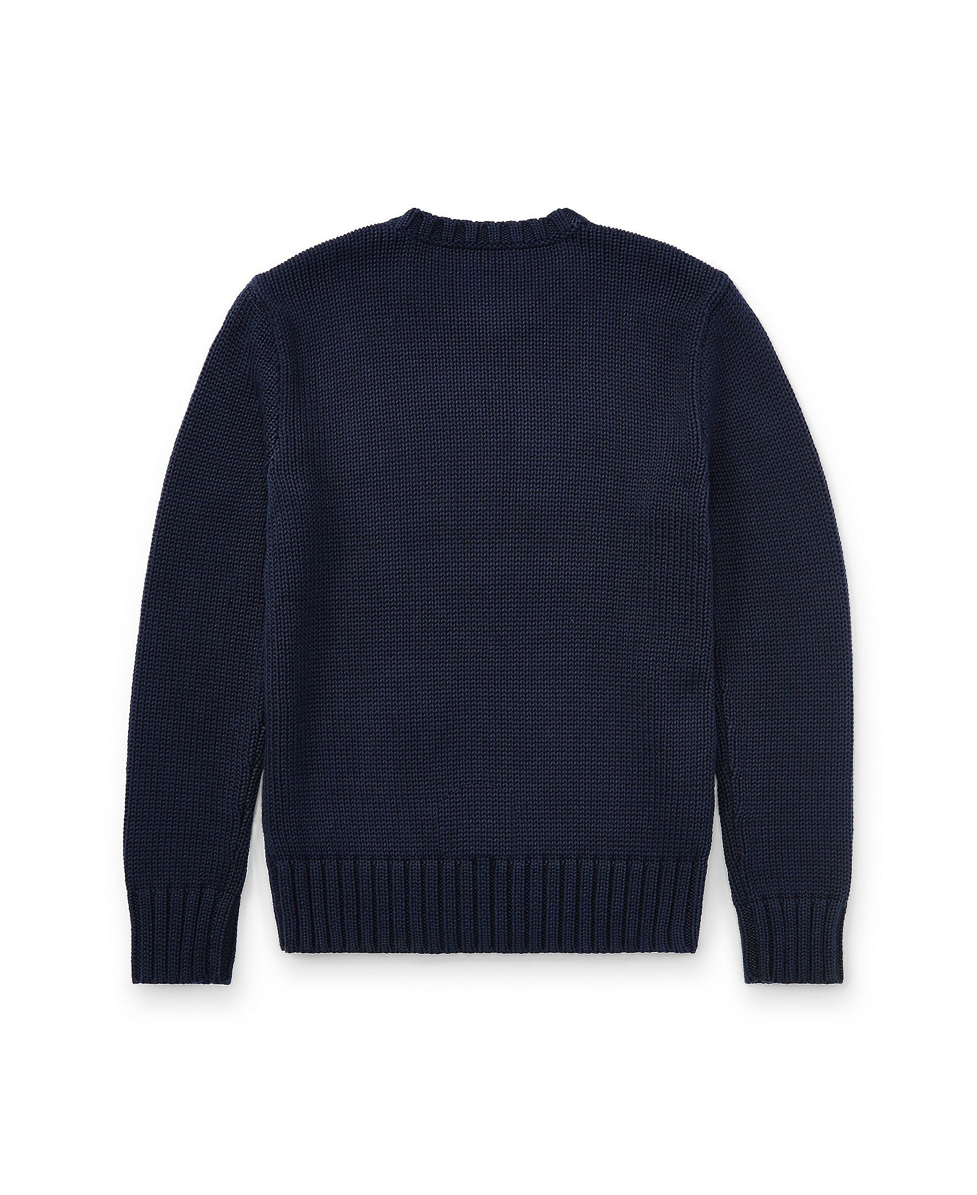 Polo Ralph Lauren Big Boys The Iconic Flag Sweater - Hunter navy
