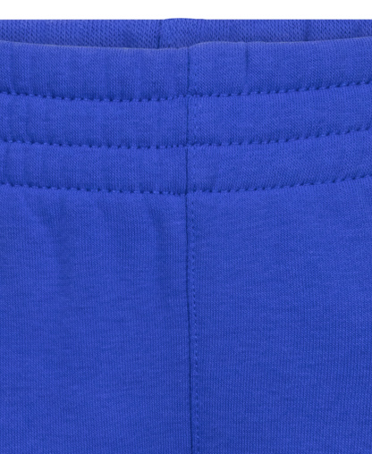 Nike Boys' 4-7 Club Fleece Logo Hoodie and Sweatpants, 2-Piece Set - Game Royal