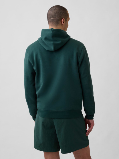 Adult VintageSoft Arch Logo Hoodie - hunter green