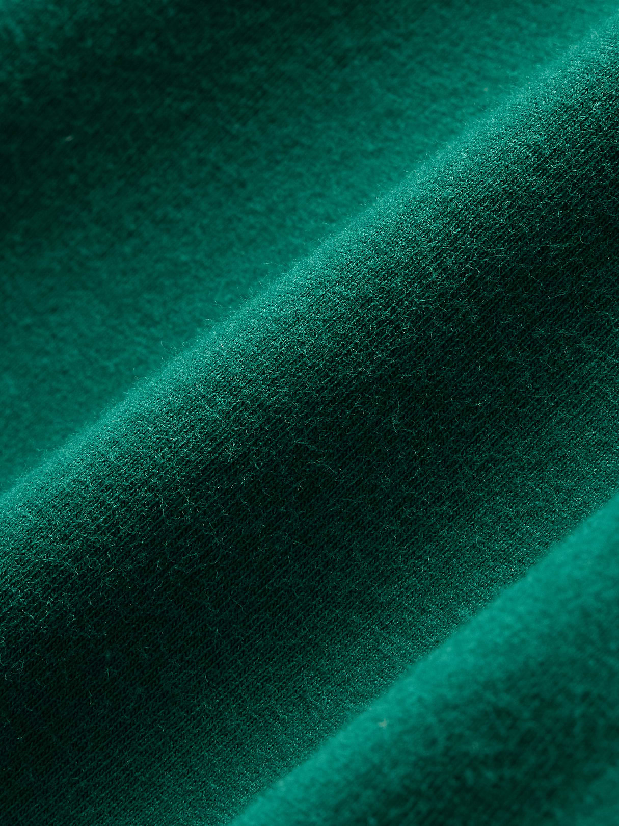 CloseKnit Jersey T-Shirt - Rain forest green