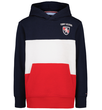 Tommy Hilfiger Boys' 8-20 Color-Blocked Logo Hoodie - Navy Blazer