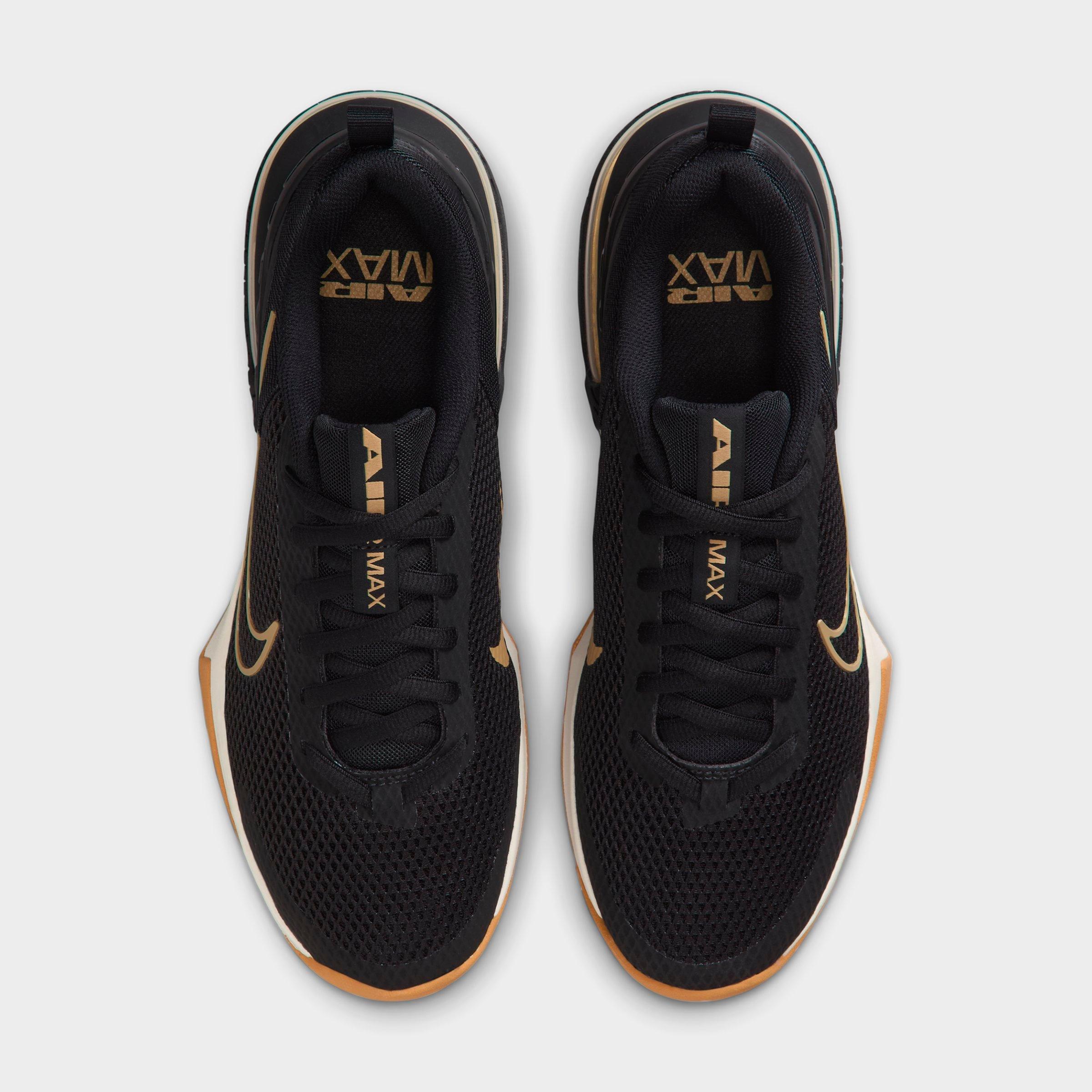 Men's Nithtke Air Max Alpha Trainer 6 Training Shoes - Part 3 - Black/Sail/Gum Light Brown/Parachute Beige - Top view