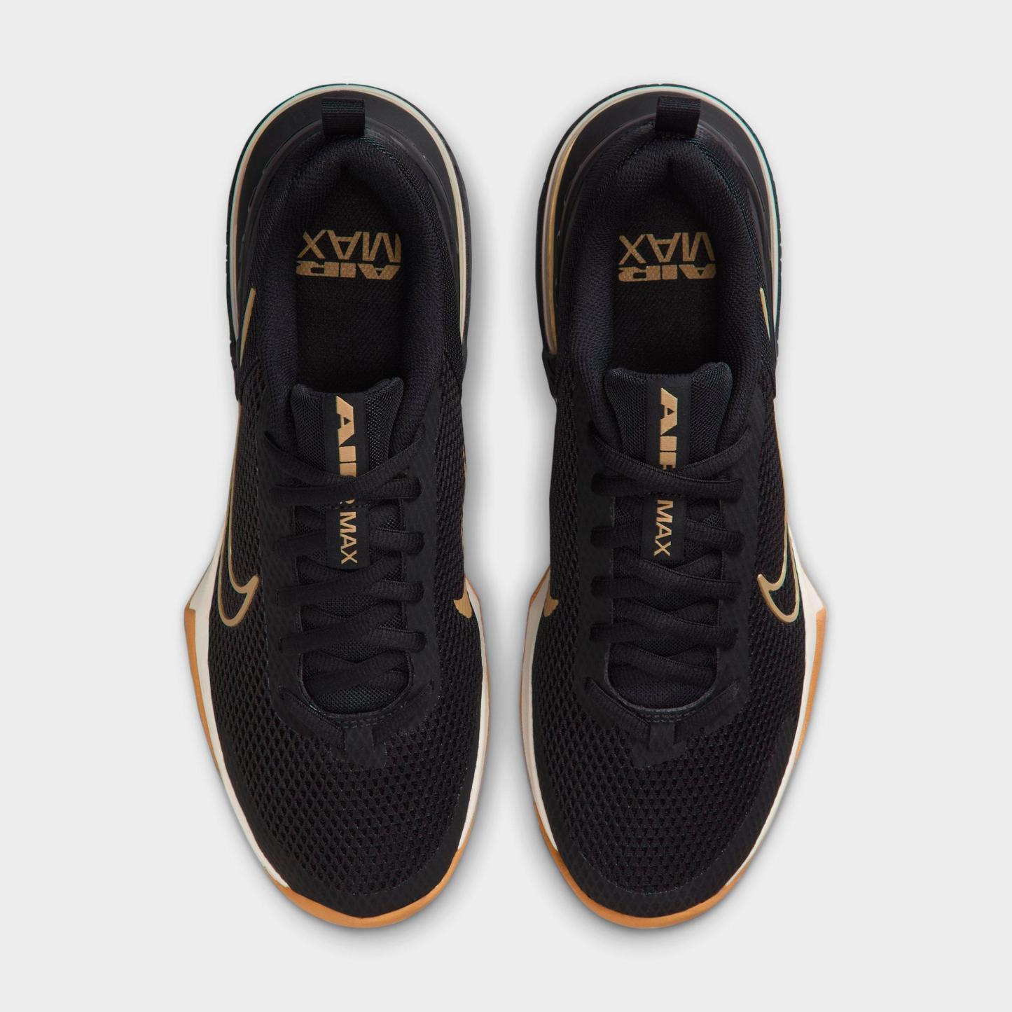 Men's Nithtke Air Max Alpha Trainer 6 Training Shoes - Part 3 - Black/Sail/Gum Light Brown/Parachute Beige - Top view