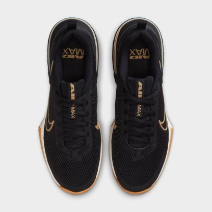 Men's Nithtke Air Max Alpha Trainer 6 Training Shoes - Part 3 - Black/Sail/Gum Light Brown/Parachute Beige - Top view
