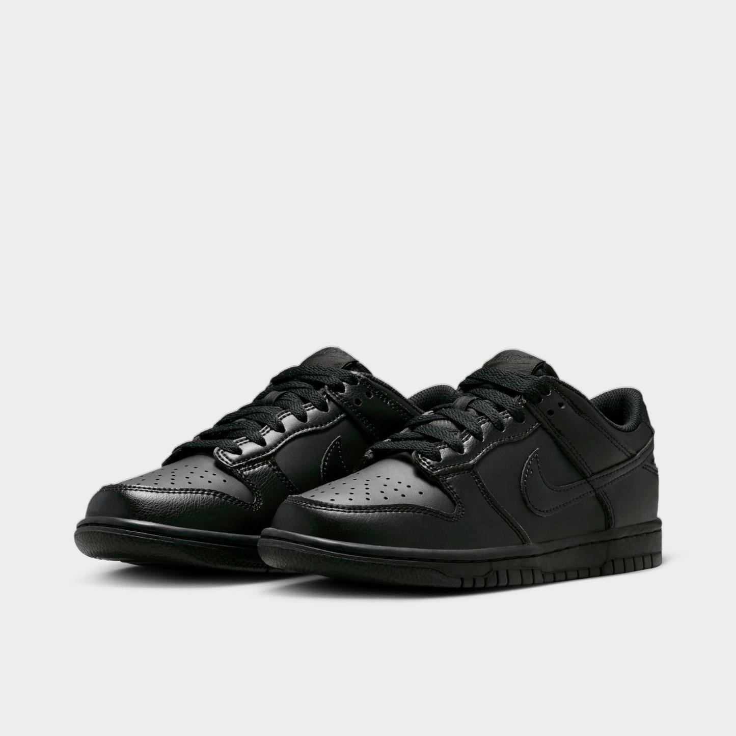 Big Kids' Nike Dunk Low Casual Shoes - Black (IU7766-009)