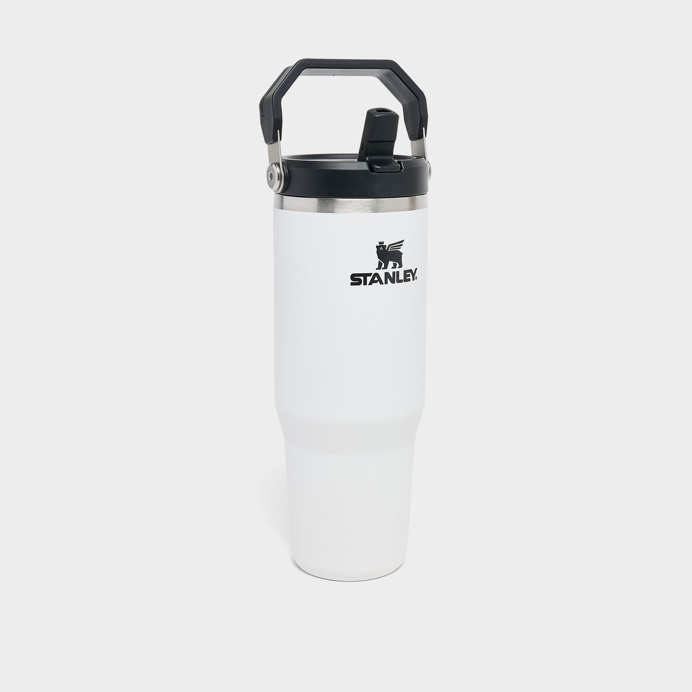 Stanley IceFlow Flip Straw Tumbler (30 oz.) - Chalk