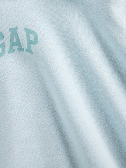 VintageSoft Crop Logo Hoodie - Light autumn blue