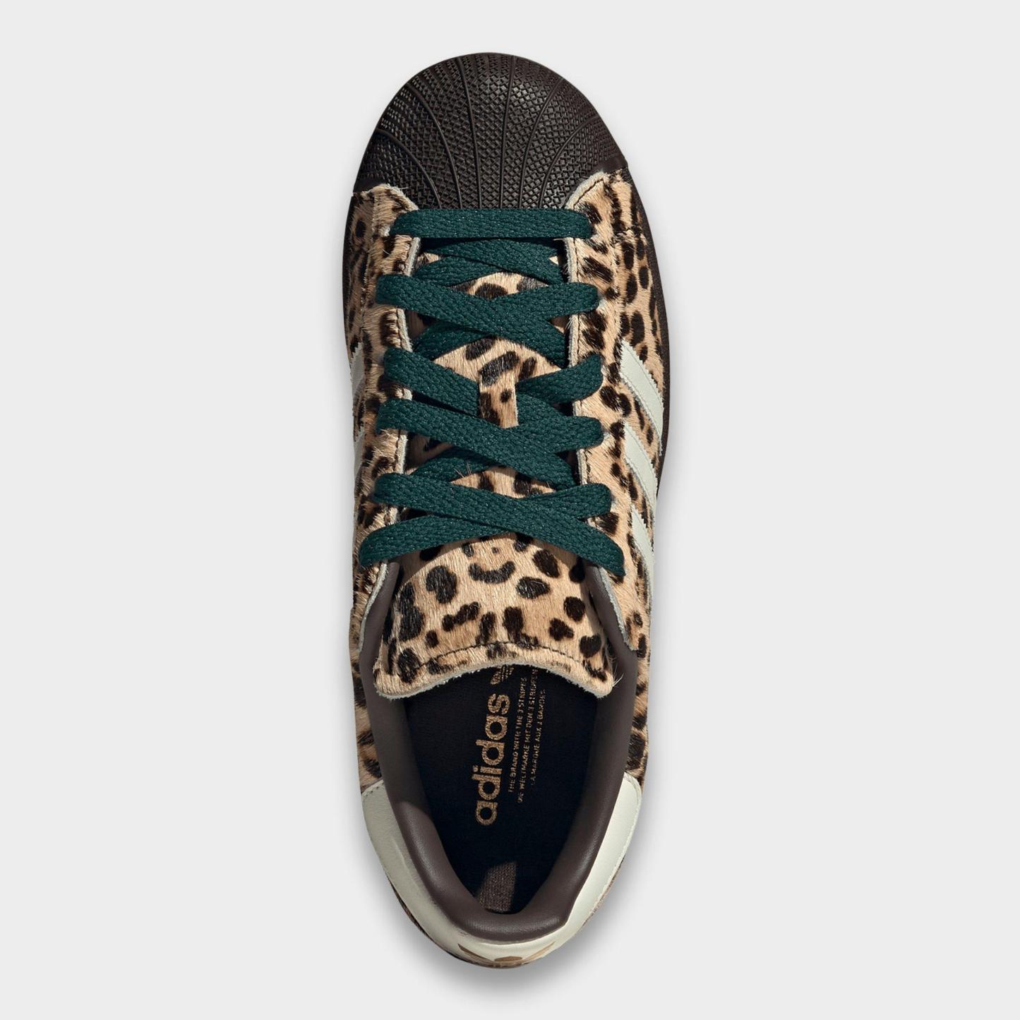 Women's adidas Originals Superstar II Casual Shoes - Dark Brown/Ivory/Gold Metallic - Top view