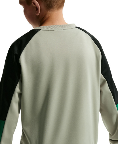 Nike Boys' 8-20 Sportswear Crewneck Sweatshirt & Shorts, 2-Piece Set - Spruce Fog