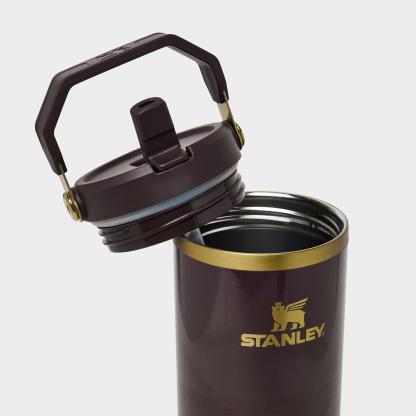 Stanley IceFlow Flip Straw Tumbler (30 oz.) - Fig Gloss