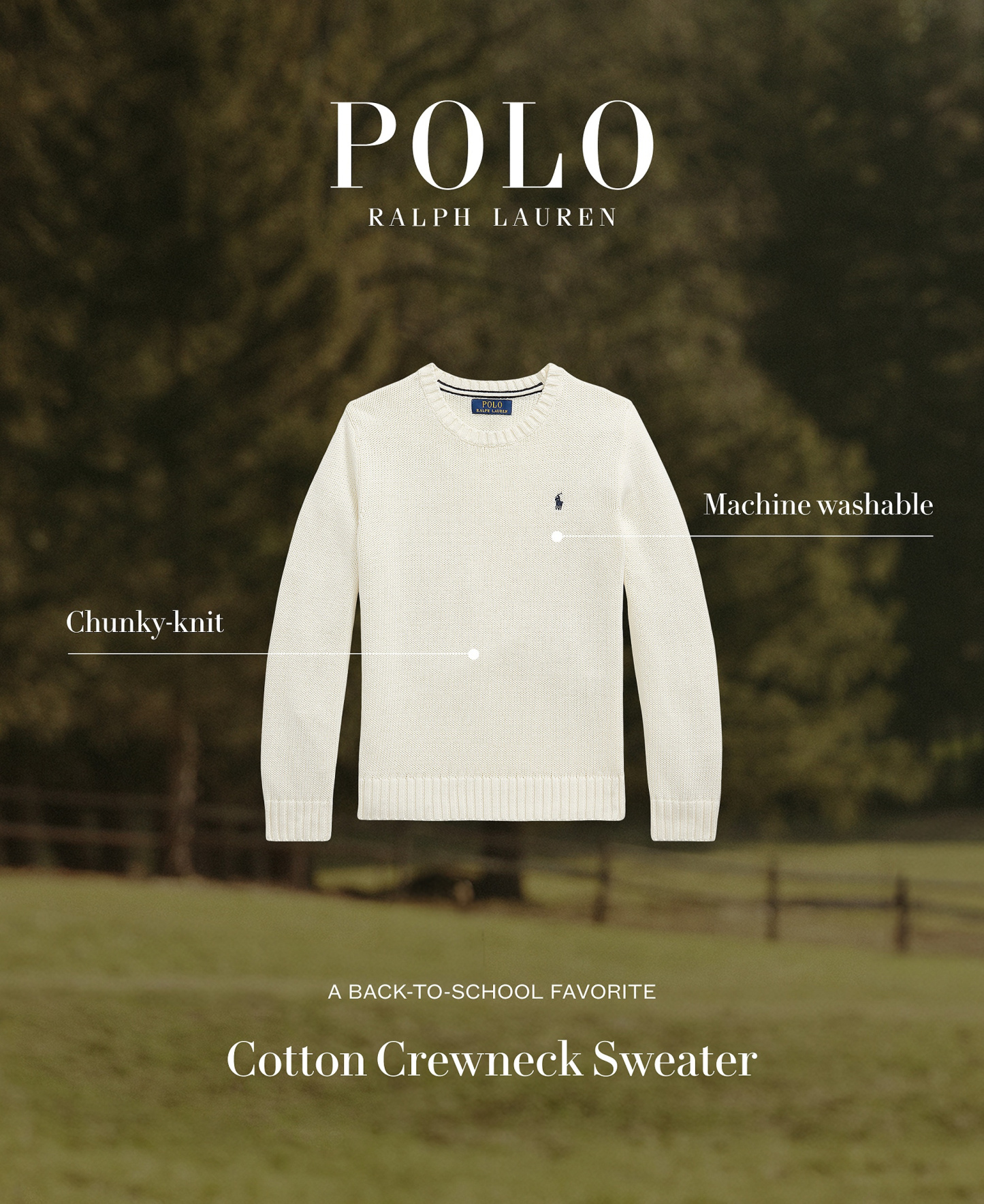 Polo Ralph Lauren Boys' 8-20 Cotton Crewneck Sweater - RL Navy