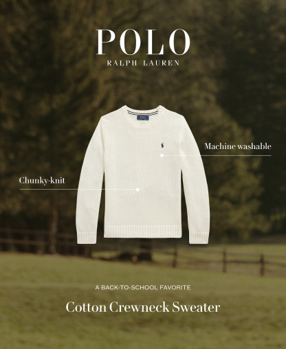 Polo Ralph Lauren Boys' 8-20 Cotton Crewneck Sweater - RL Navy
