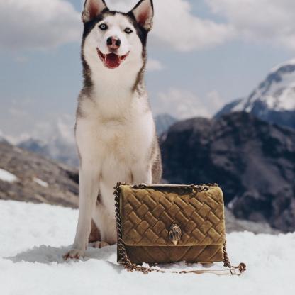 Kurt Geiger London Large Kensington Kurt Bag - Tan - view 7
