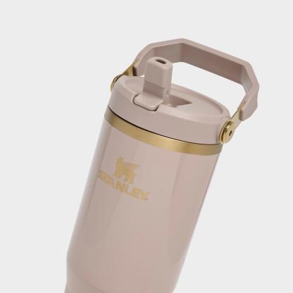 Stanley IceFlow Flip Straw Tumbler (30 oz.) - Bedrock Gloss
