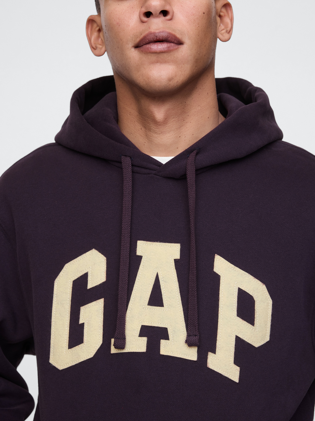 Adult VintageSoft Arch Logo Hoodie - sugar plum